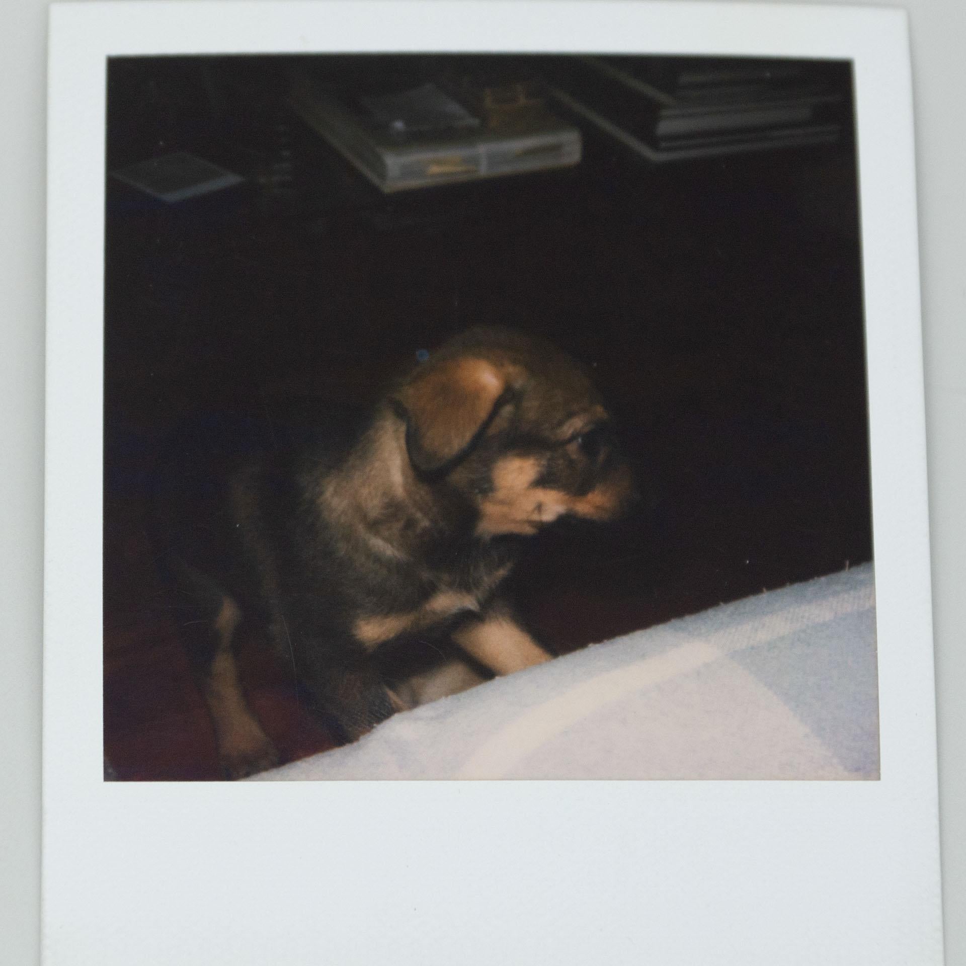 Fine XX secolo Set di fotografie polaroid di Miquel Arnal in vendita