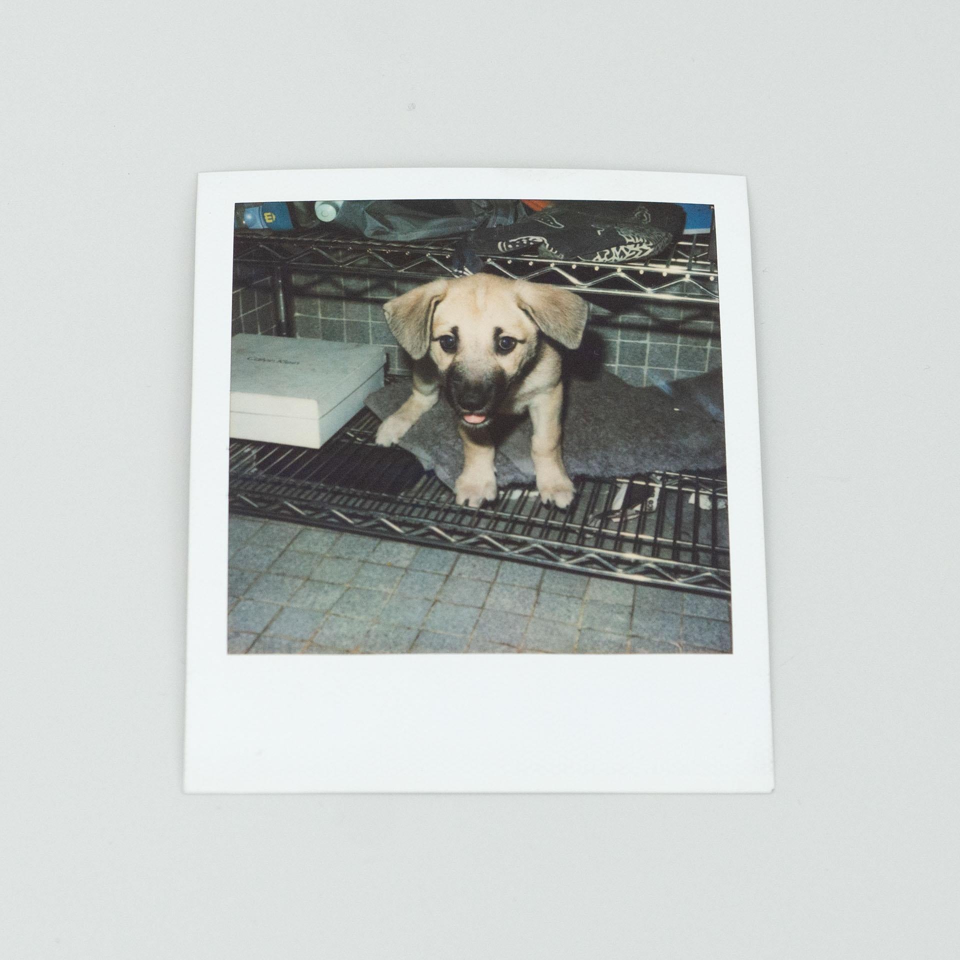 Papier Ensemble de photographies polaroïdiques Miquel Arnal en vente