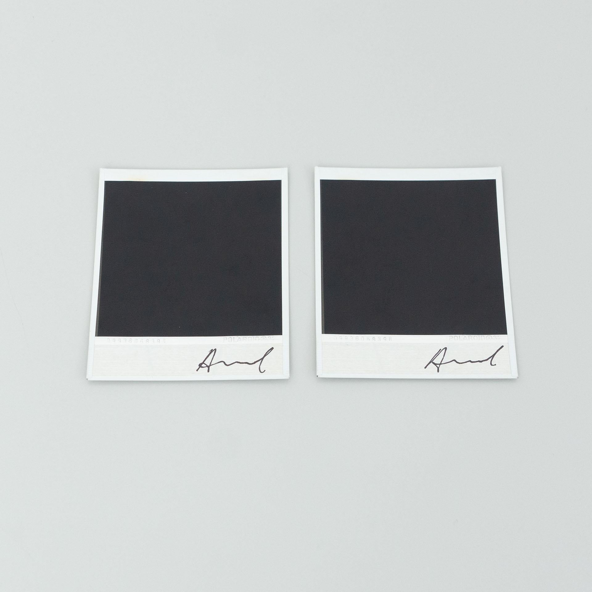 Paper Miquel Arnal Set of Polaroid Photographs For Sale