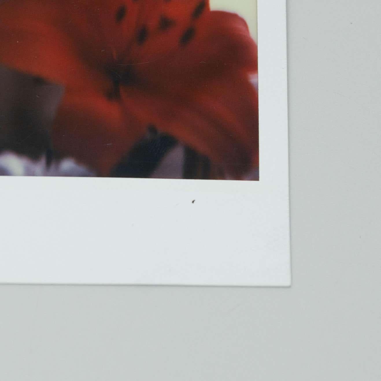 Paper Miquel Arnal Set of Polaroid Photographs For Sale