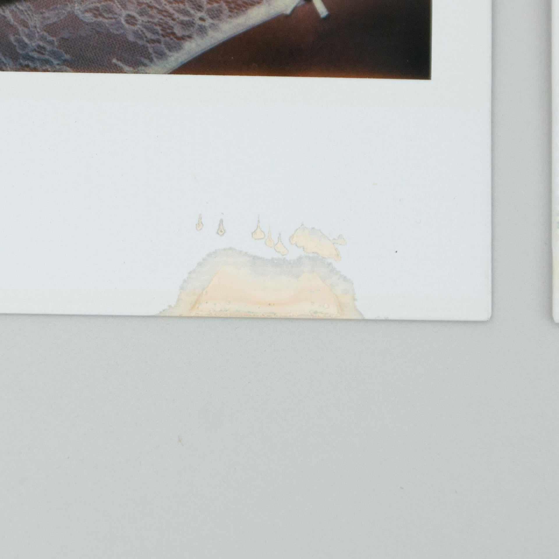 Miquel Arnal Set of Polaroid Photographs For Sale 2