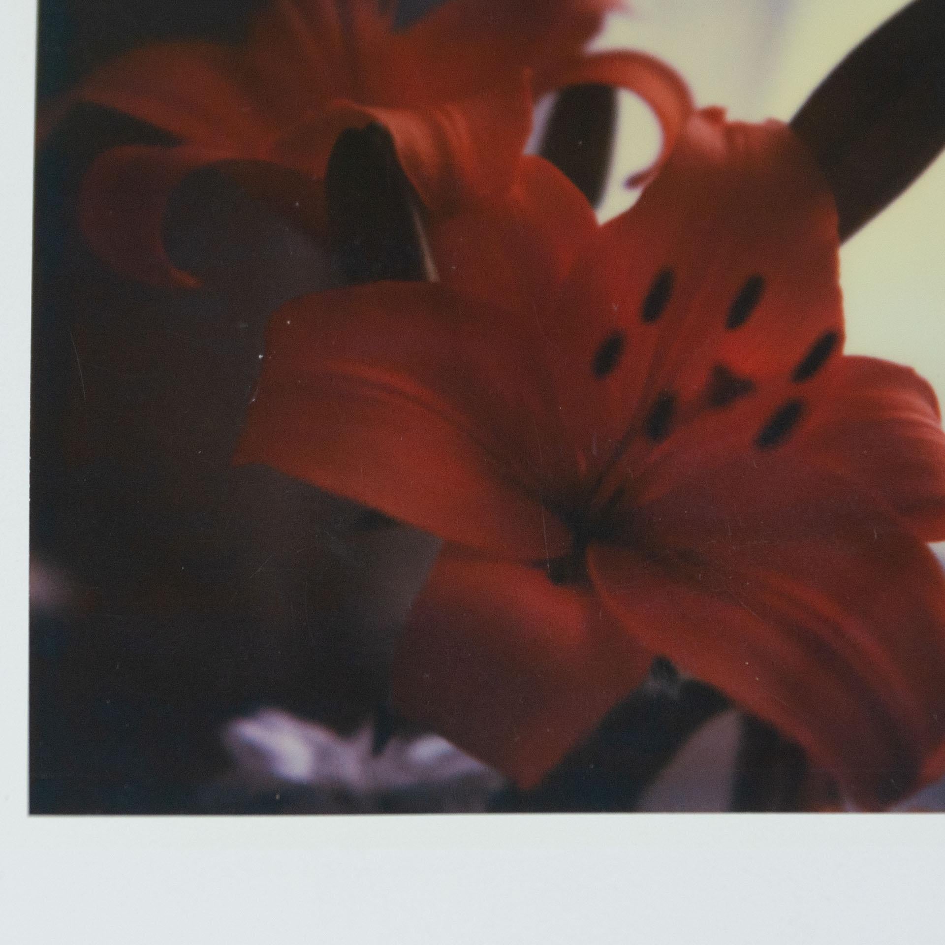 Miquel Arnal Set of Polaroid Photographs For Sale 2