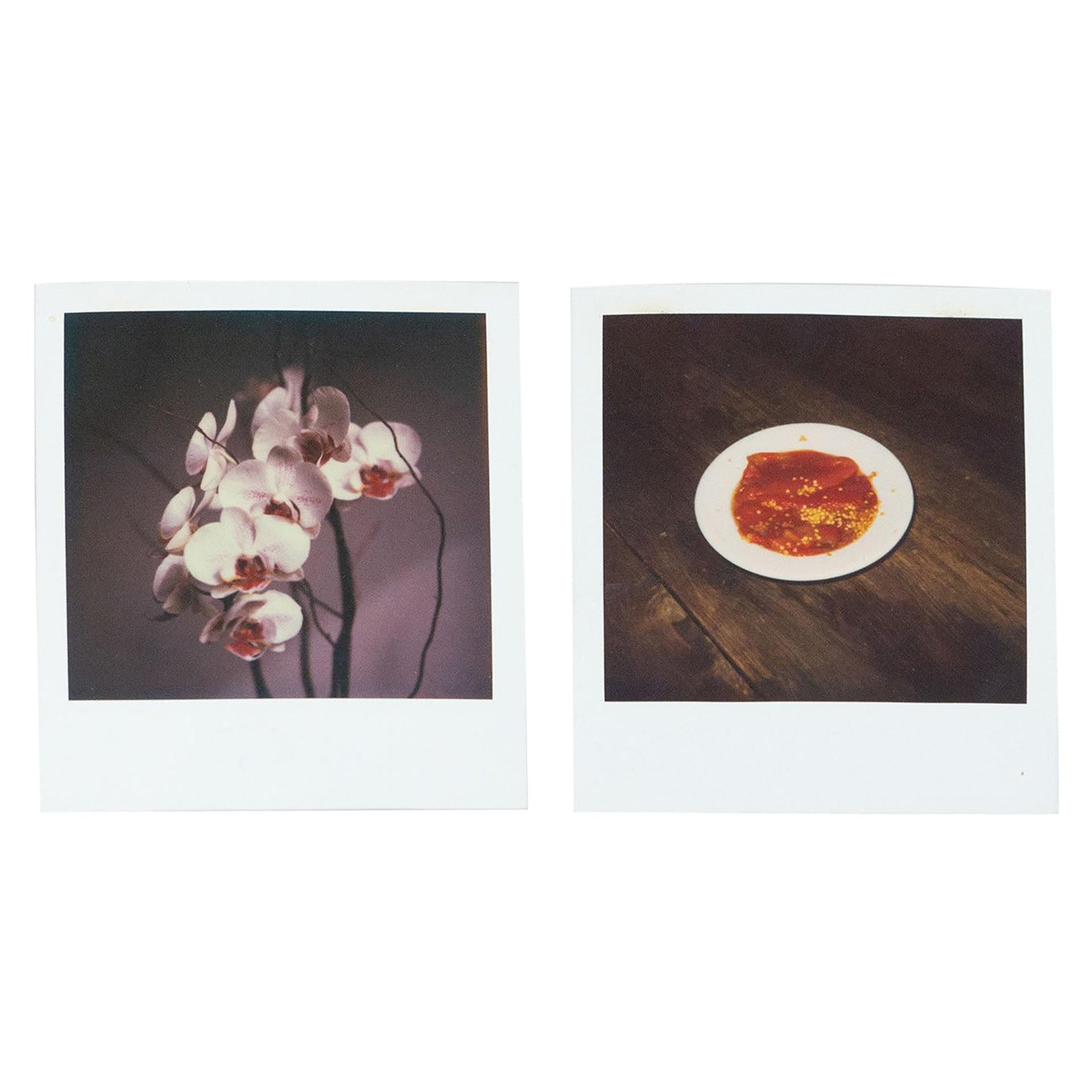 Miquel Arnal Set of Polaroid Photographs For Sale