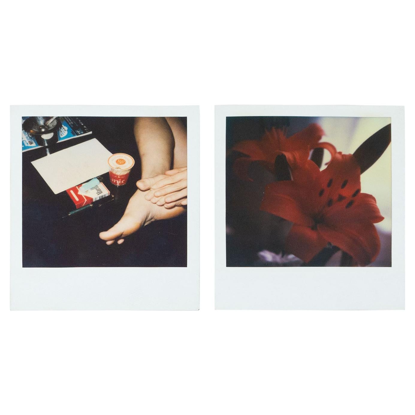 Miquel Arnal Set of Polaroid Photographs For Sale