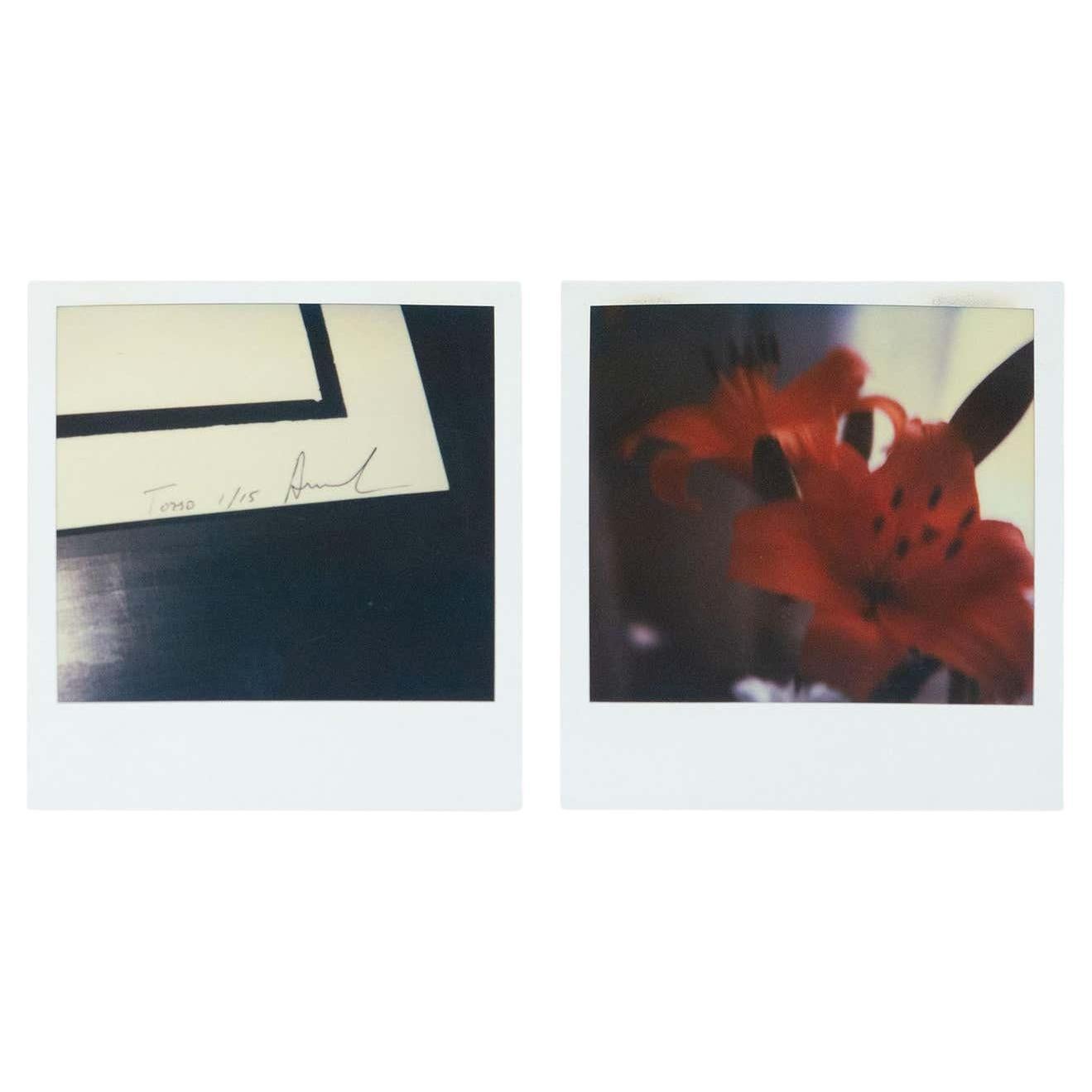 Miquel Arnal Set of Polaroid Photographs For Sale