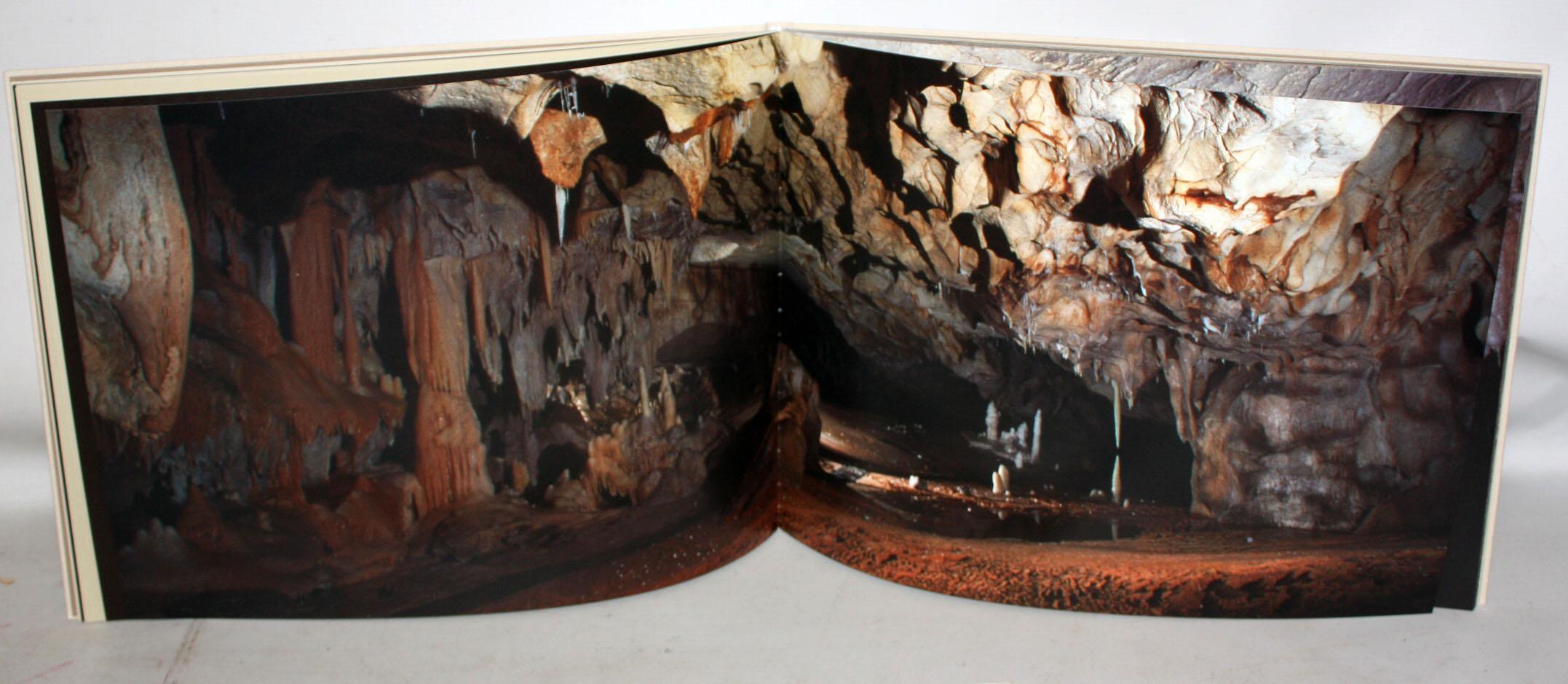 Miquel Barceló (1957) . Cahier des félins en vente 13