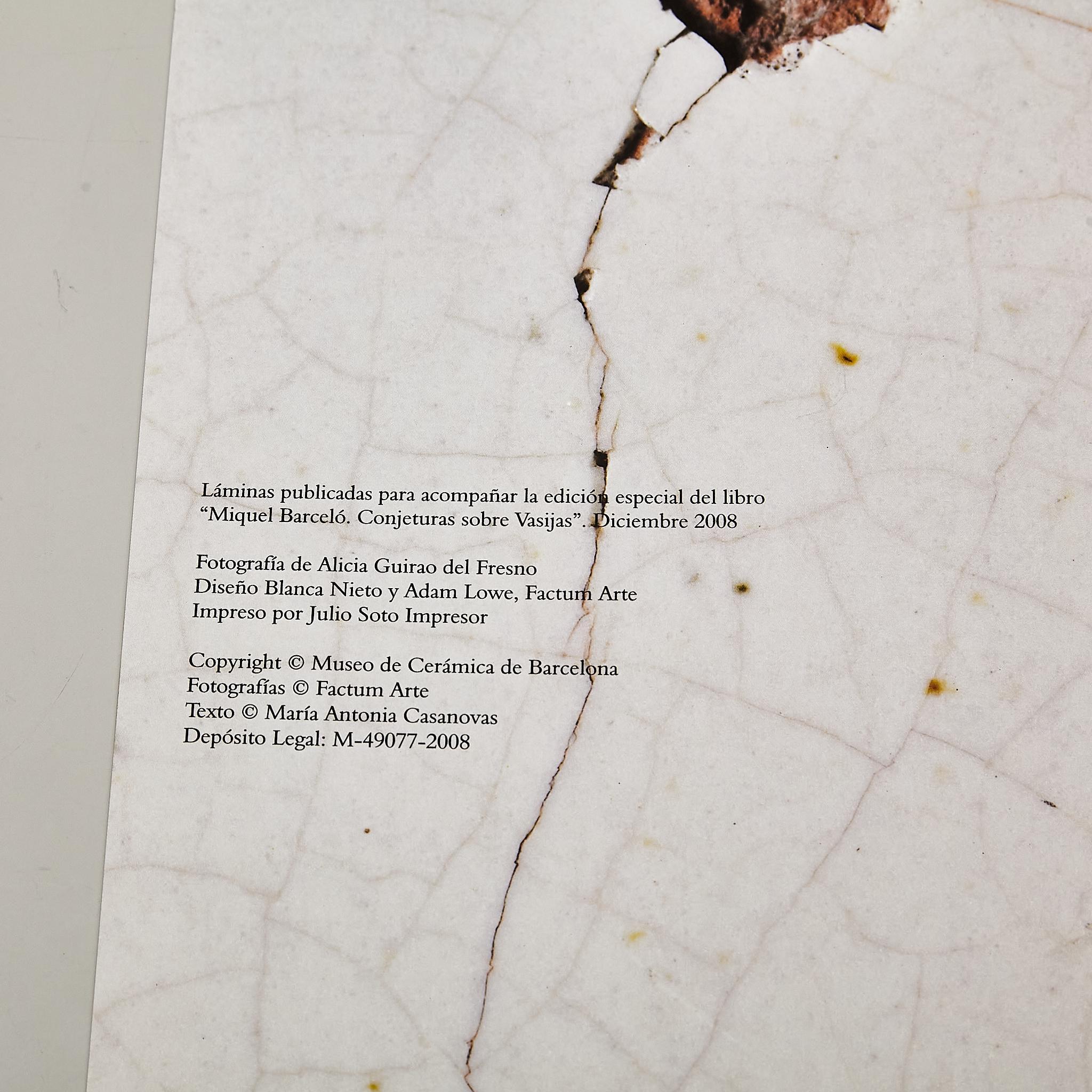 Miquel Barcelo : « Conjeturas sobre Vasijas » - Livre spécial en grande édition en vente 8