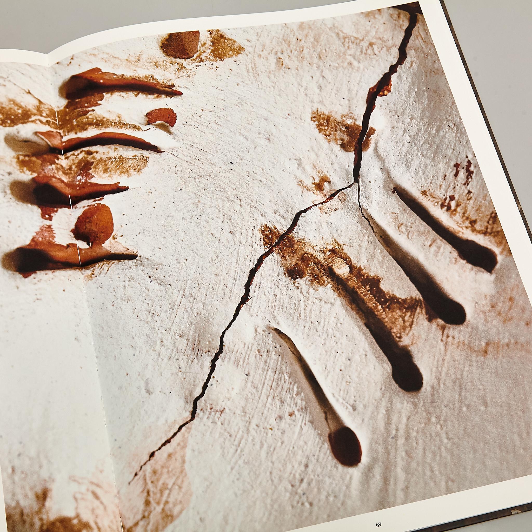 Miquel Barcelo : « Conjeturas sobre Vasijas » - Livre spécial en grande édition en vente 3