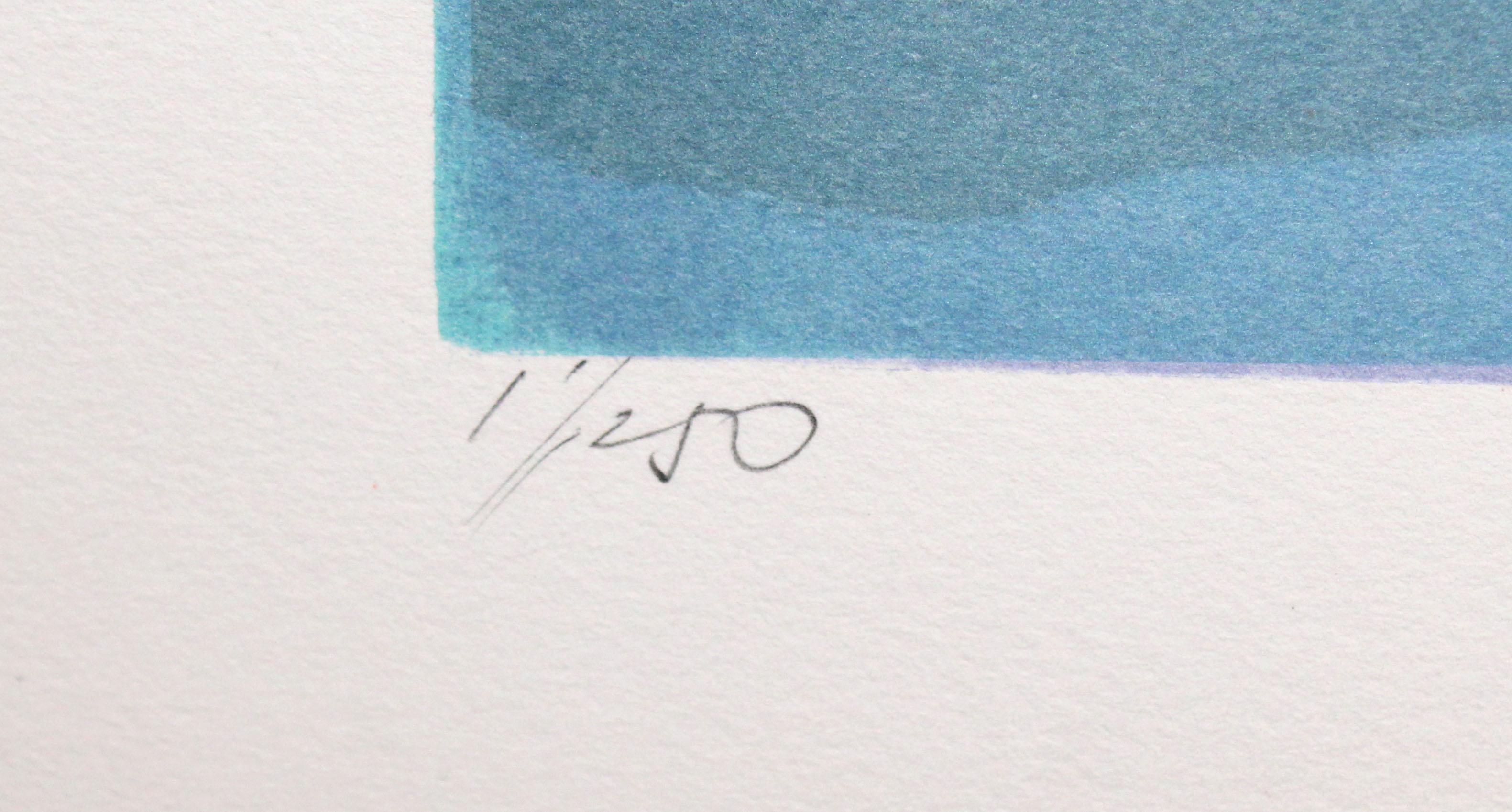 Litografia sobre papel - Paisaje con cometas - Tiraje: 1/250 - Landscape Print Gris de Miquel Ibarz Roca