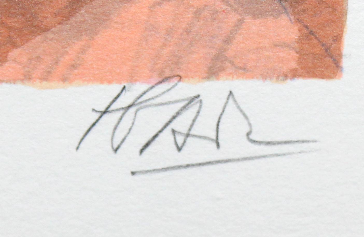 Litografia sobre papel - Paisaje con cometas - Tiraje: 8/250 - Impressionist Print by Miquel Ibarz Roca