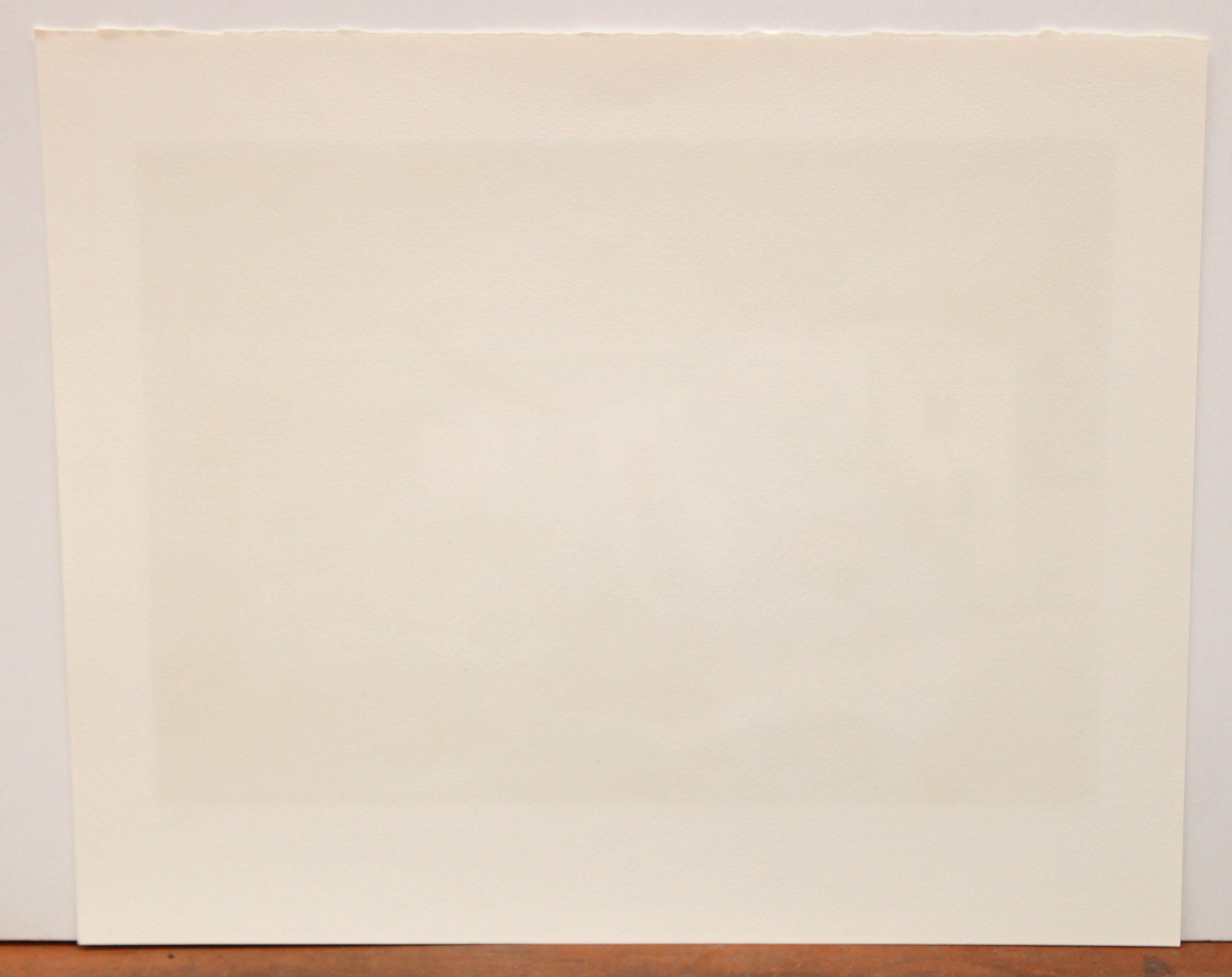 Firmada a lápiz por el artista en la parte inferior y con tiraje 12/250

En buen estado de conservación

Sin enmarcar

Medidas: 49 cm x 58 cm.