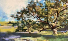 Bedford Oak, Painting, Pastels on Pastel Sandpaper