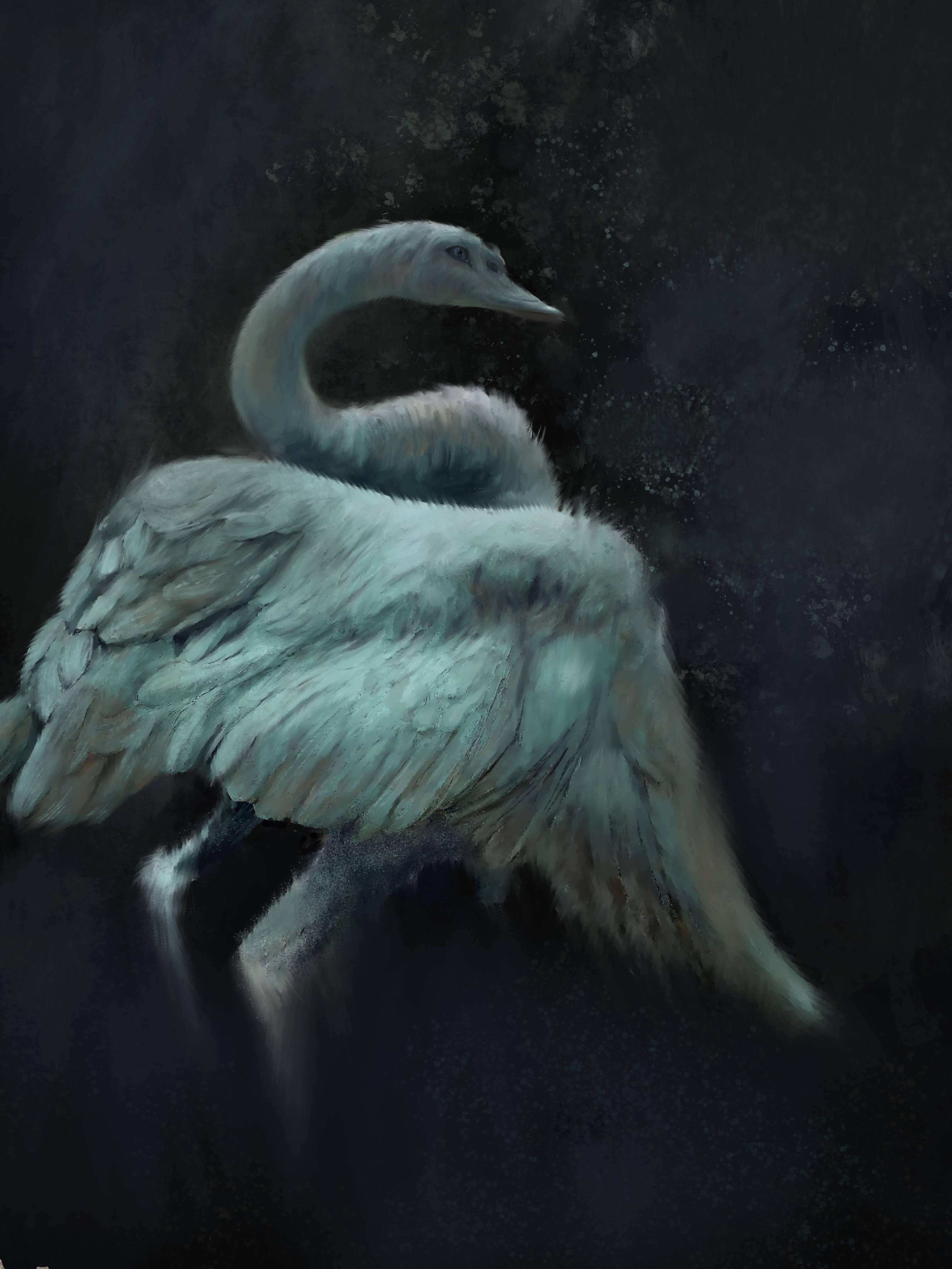 Sogno del cigno, Pittura, Olio su tela - Painting di Mira  Vitarello