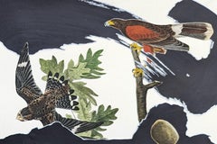 Infestation Horizontal 1 : Abstraktes Kunstwerk auf Papier