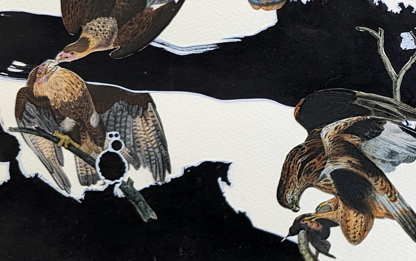 An artwork on paper by New York artist Miranda Maher. Black archival ink on pale blue archival paper with historical Audubon images of American birds, mounted on Arches paper.

Miranda Maher’s artistic journey is a profound exploration of
