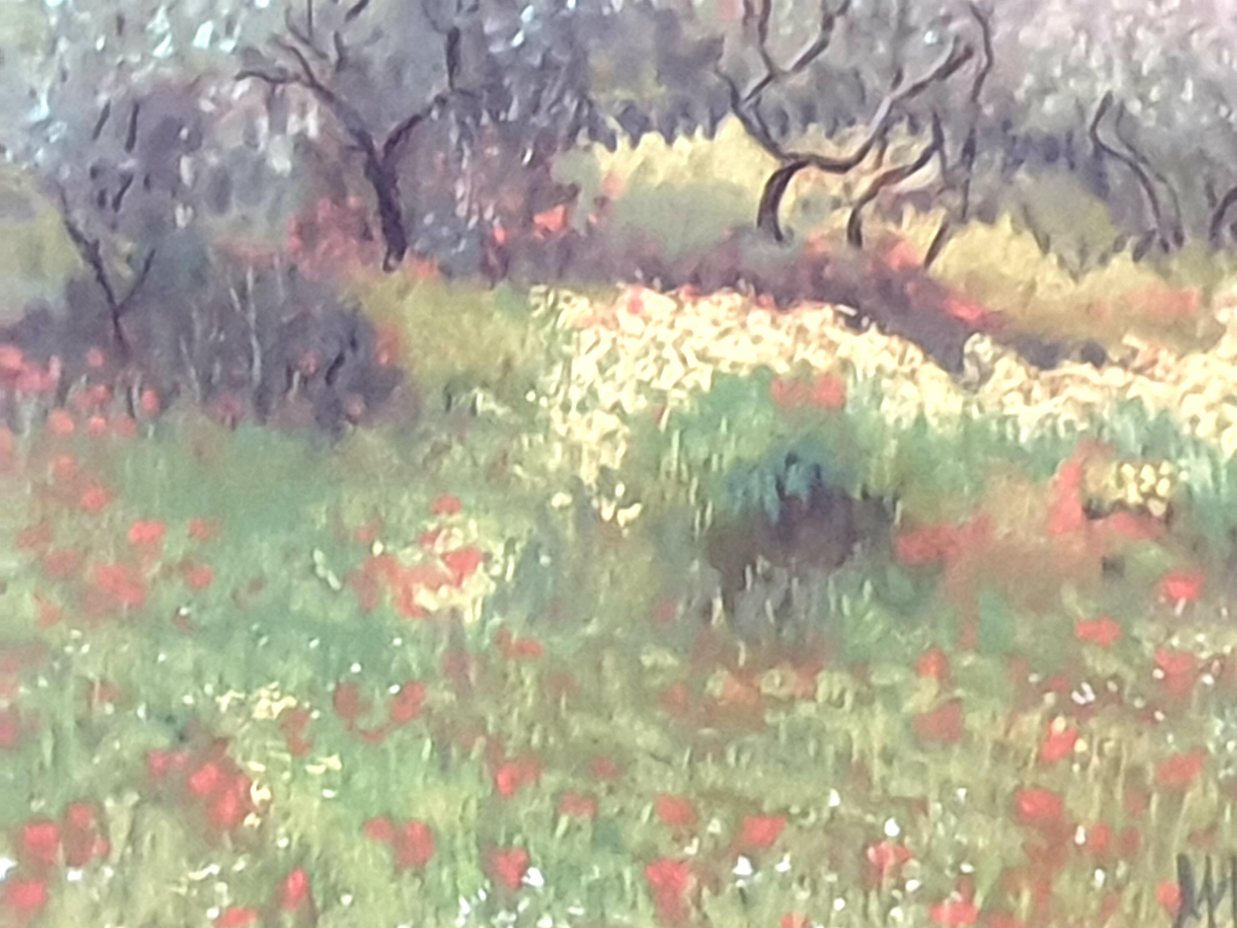 Olive Grove and Poppies, Contemporary Impressionist Pastel on Paper. For Sale 1