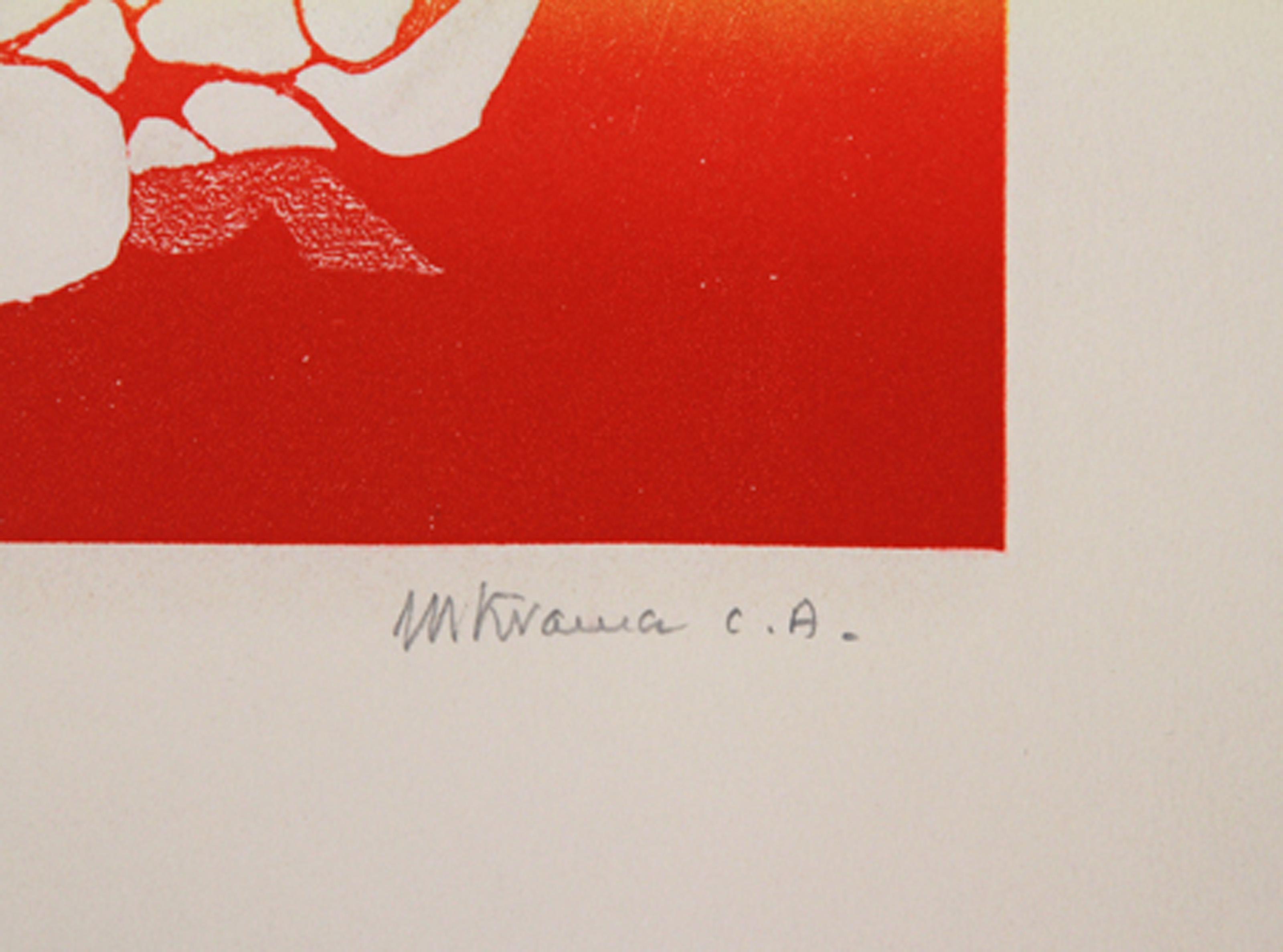 Birds, Rainbow V, Folk Art Aquatint Etching by Mireille Kramer For Sale 2