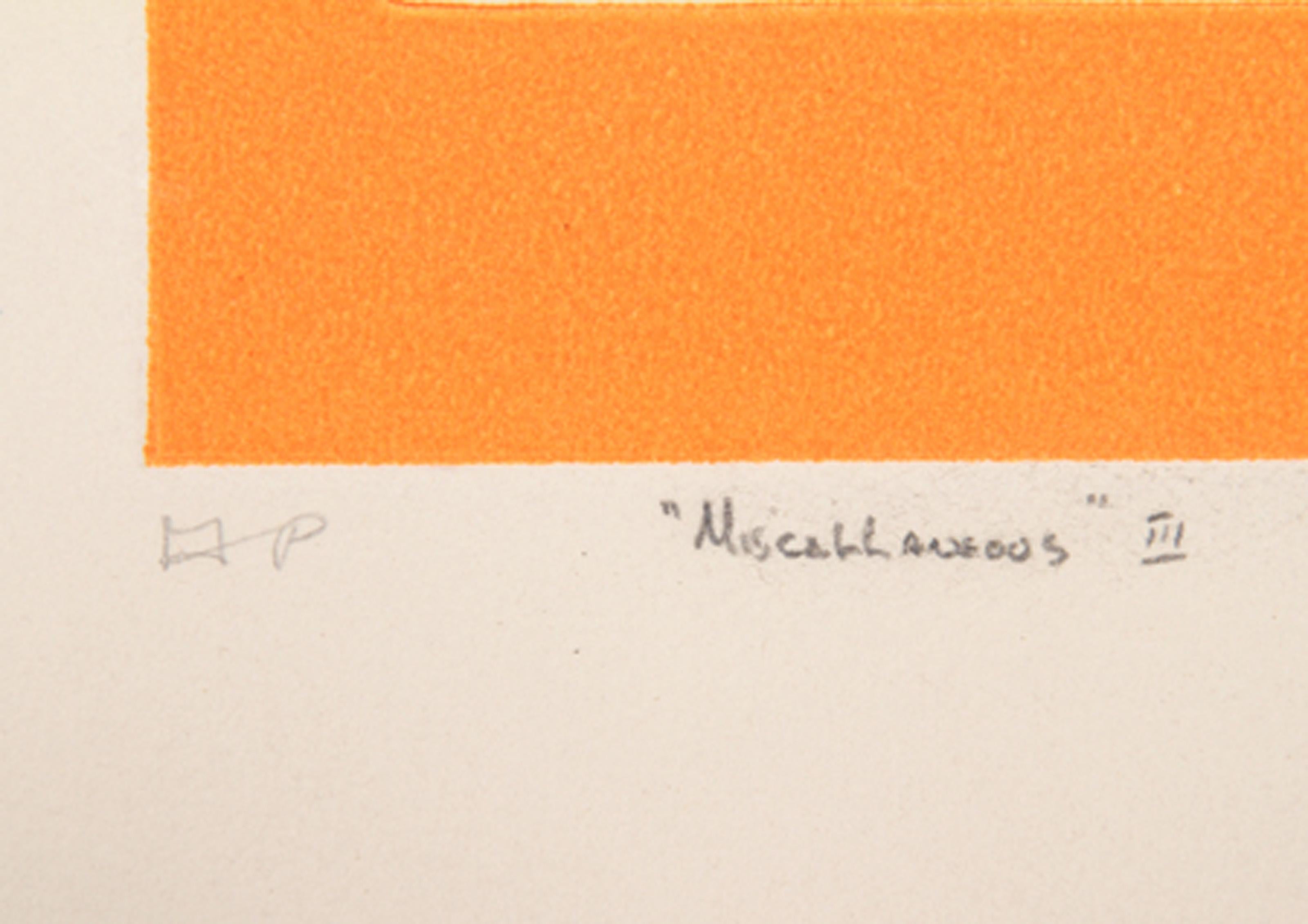 Miscellaneous III, Folk Art Aquatint Etching by Mireille Kramer For Sale 2