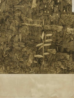 ABSTRACT Mirko Baricchi Oil Gestural Landscapes Flora Earth Tones Mixed media