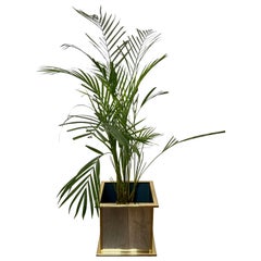 Planters and Jardinieres