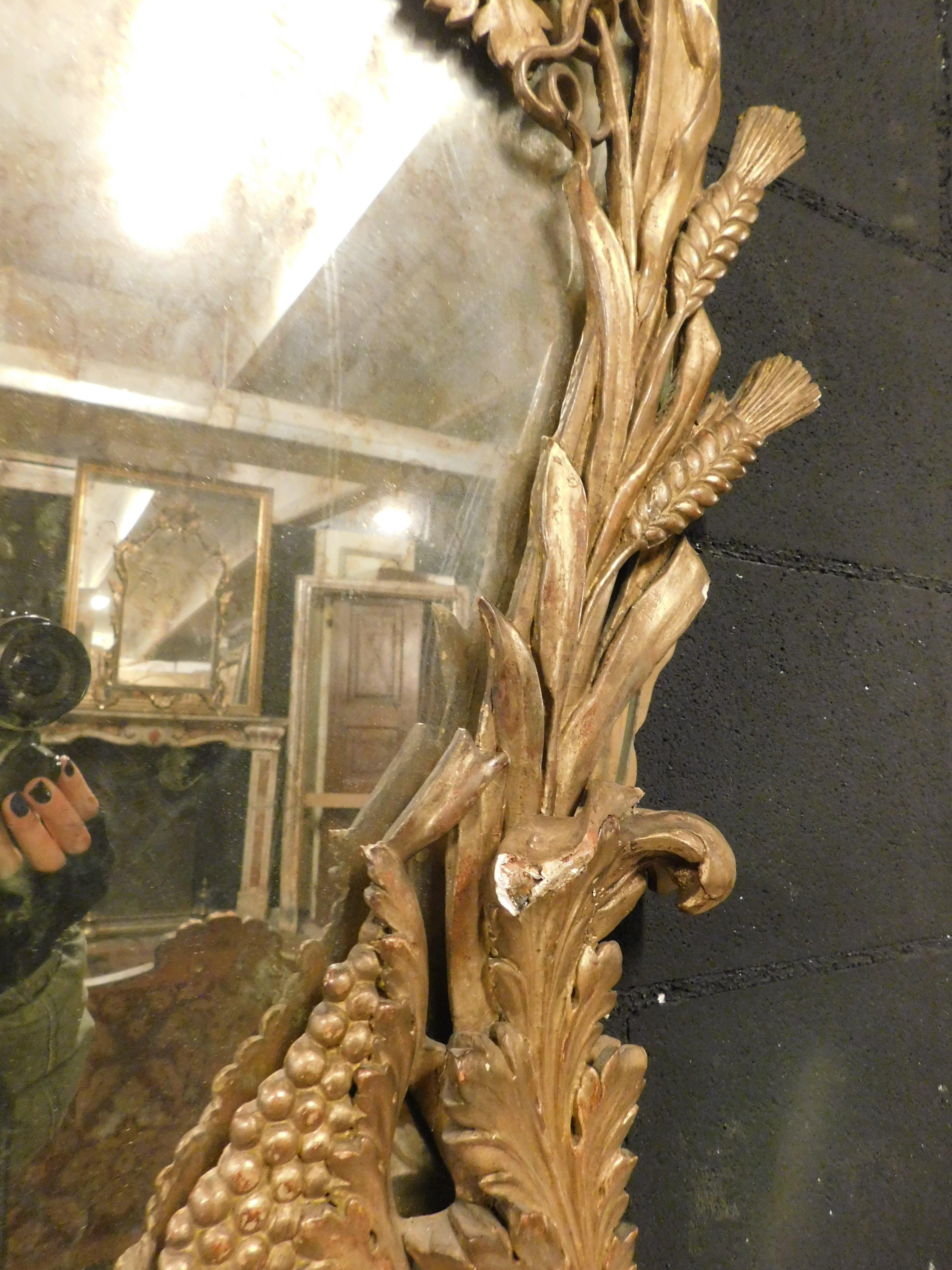 Mirror Carved with Grapes and Gilded, 19th Century Italy For Sale 1