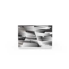 Mirror-Finished Stainless Steel Cabinet Mesh Obejct #MS-C01 by Zhoujie Zhang