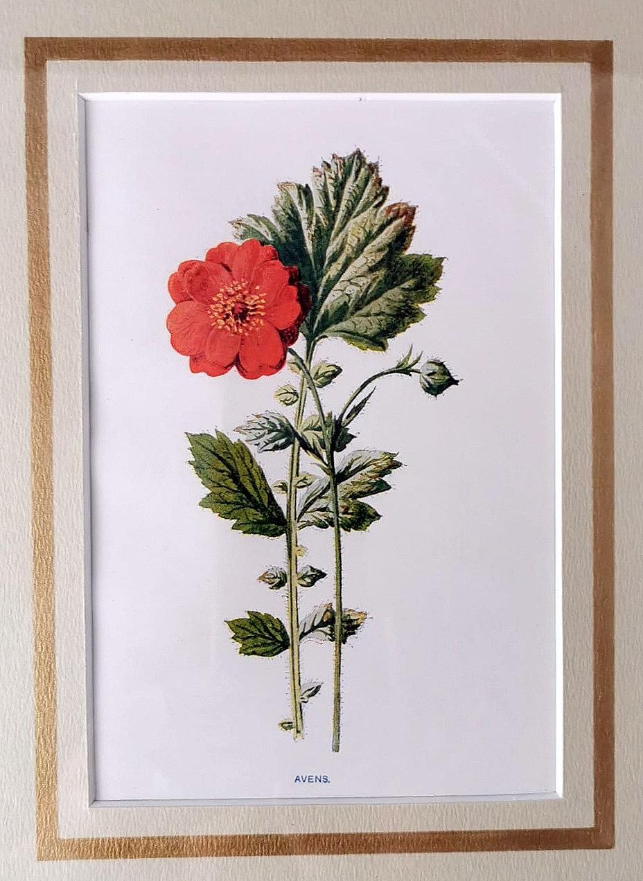 Spiegelrahmen mit englischen chrmolithografischen Drucken und Blumen im Angebot 3