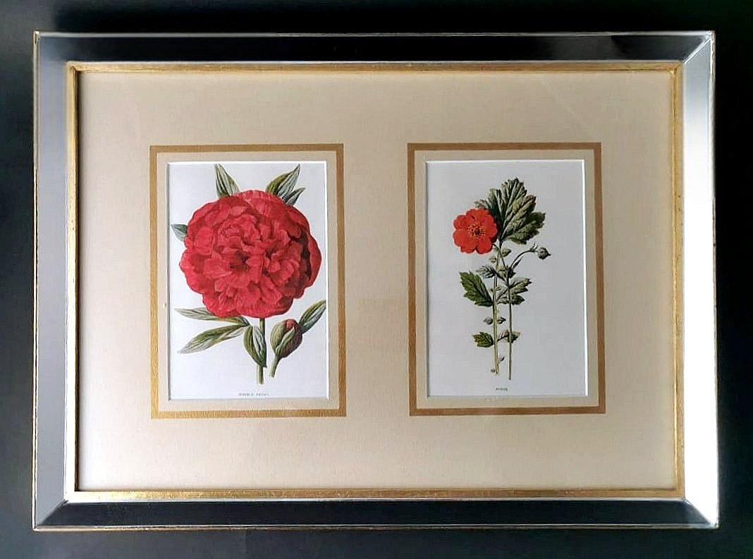We kindly suggest that you read the entire description, as with it we try to give you detailed technical and historical information to guarantee the authenticity of our objects.
The frame that encloses the two prints is very special and unusual; it
