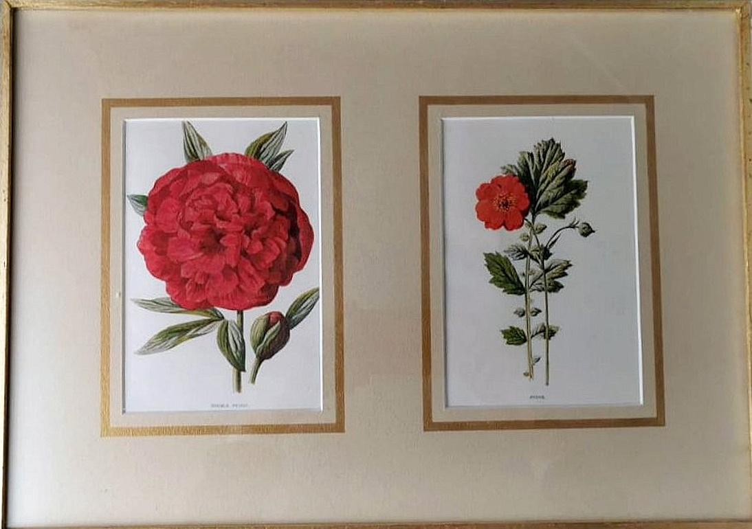 Spiegelrahmen mit englischen chrmolithografischen Drucken und Blumen im Zustand „Gut“ im Angebot in Prato, Tuscany