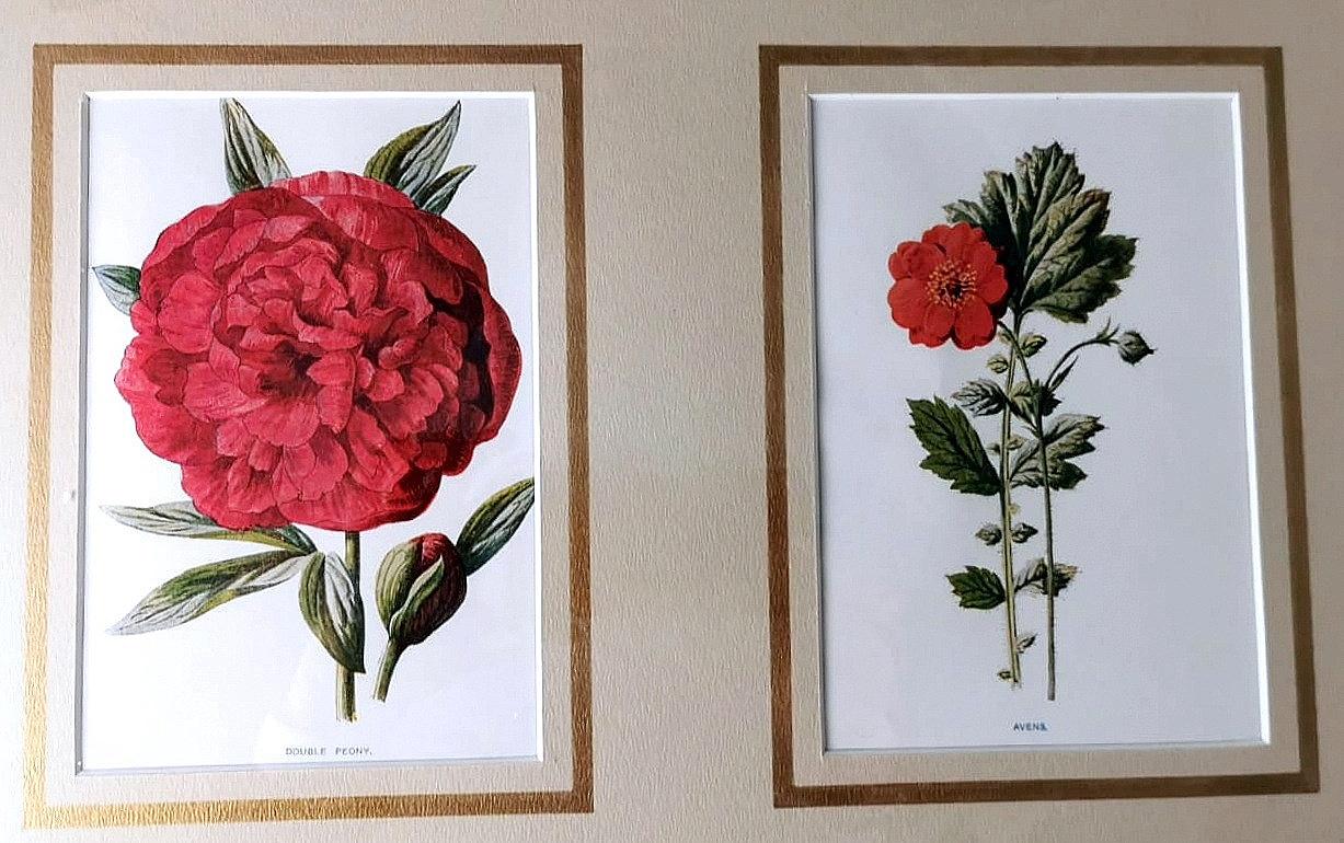 Spiegelrahmen mit englischen chrmolithografischen Drucken und Blumen (20. Jahrhundert) im Angebot