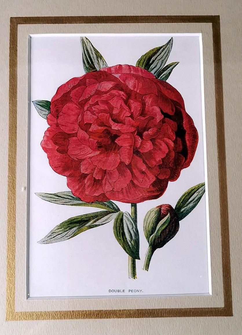 Mirror Frame With English Chromolithographic Prints With Flowers For Sale 1