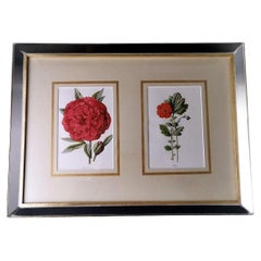 Mirror Frame With English Chromolithographic Prints With Flowers