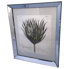 Mirror-Framed Hand Colored Botanical Engraving of Exotic Flora, France