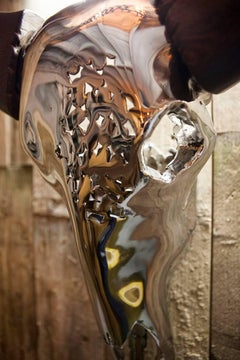 Imagen especular, esculpida a mano por Kevin Oyen