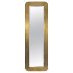 Mirror in Gilt and Brushed Brass, 1970s