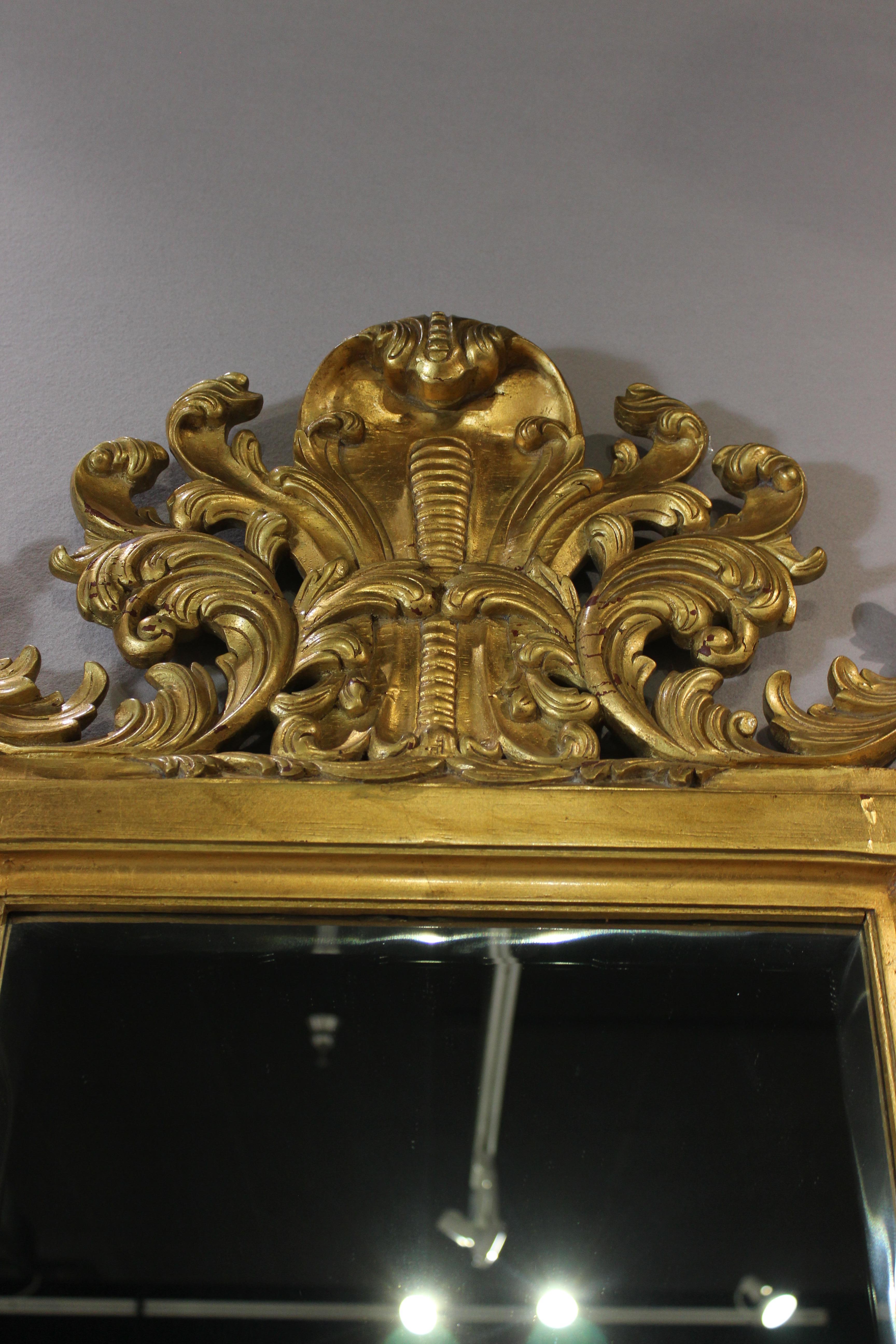Beech Mirror, Louis XV Style, Gilt Wood For Sale