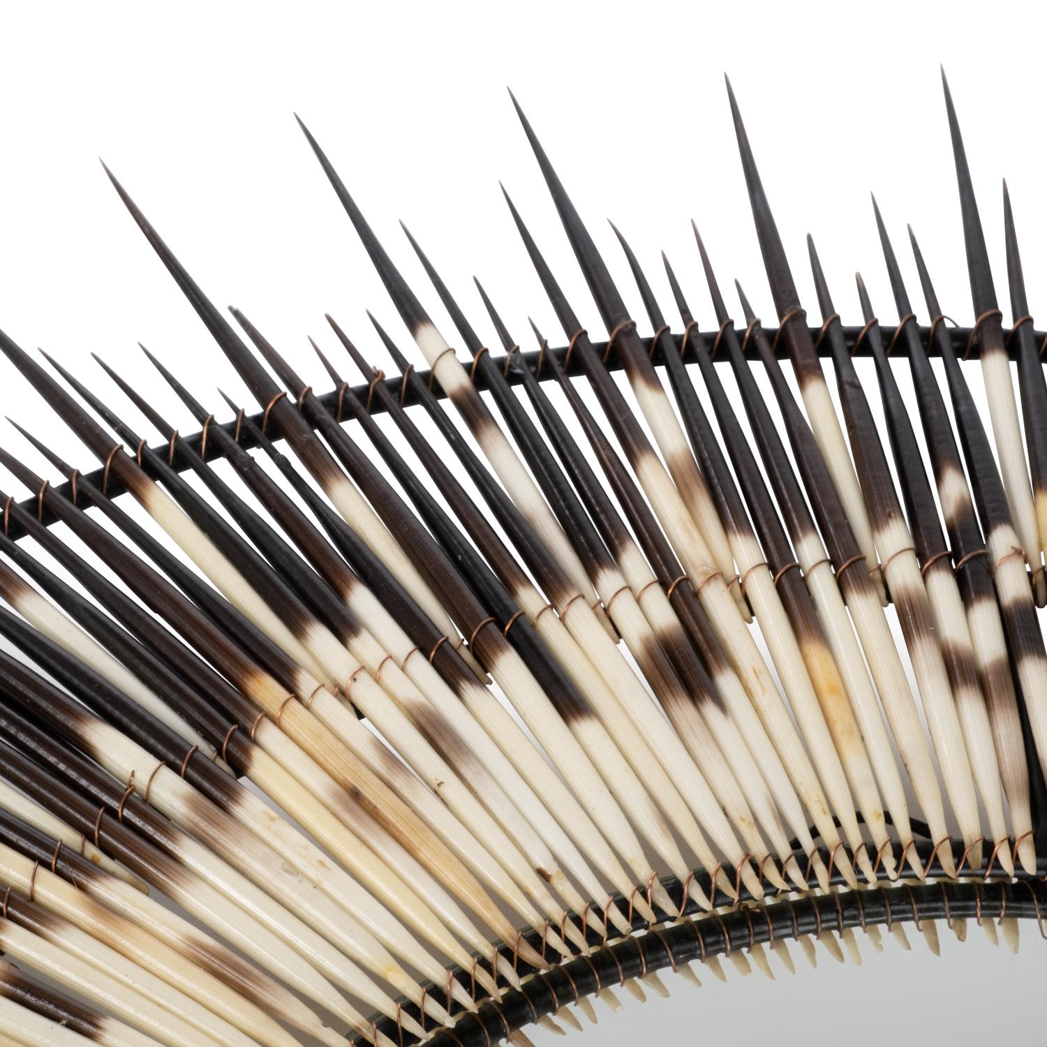 South African Mirror-Round Small Porcupine Quill For Sale