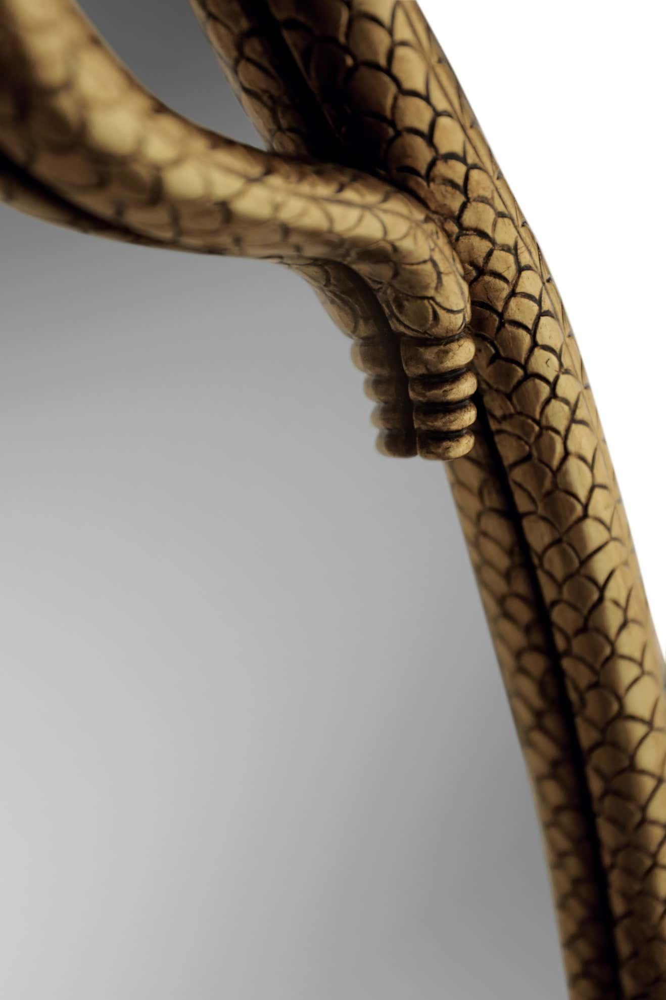 snake mirror diy