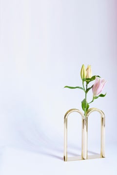 Mirrored Brass "Bicaudata" Vase, Ilaria Bianchi