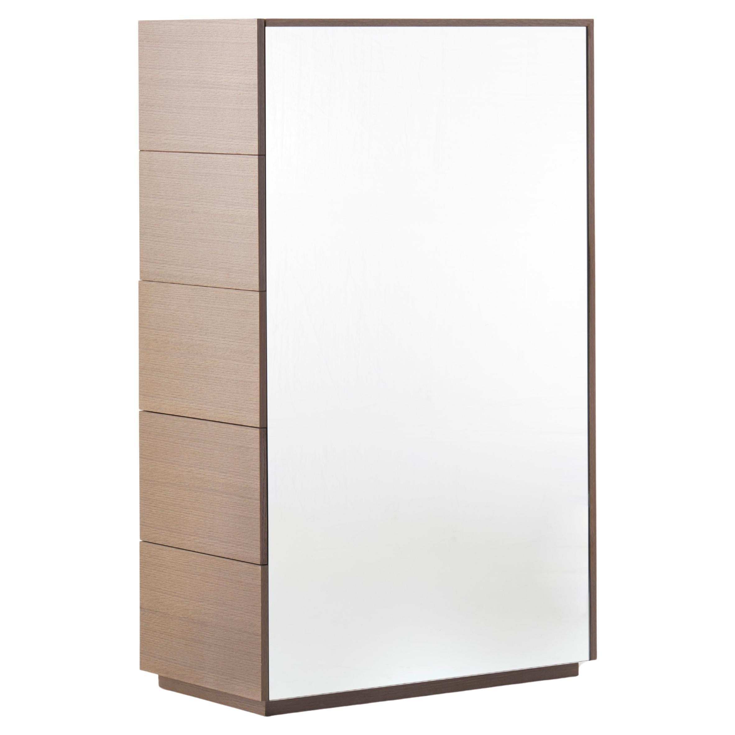 Mirrored Dressing Cabinet, Cerused Oak and MIrrored Glass For Sale