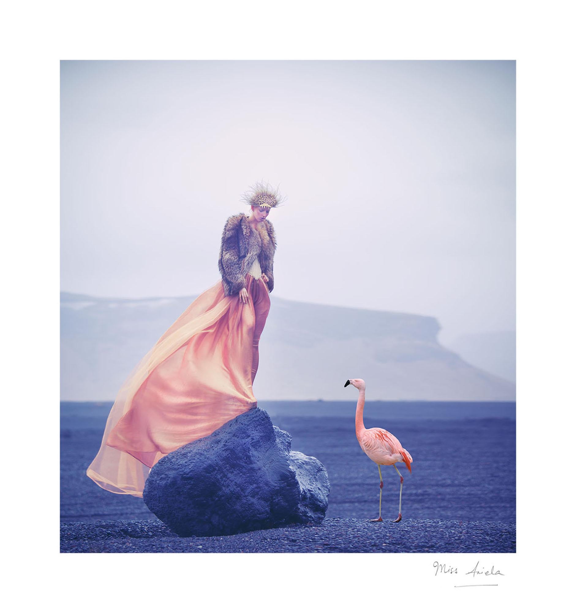 Silent Shore von Miss Aniela – Porträtfotografie, surreale Mode, Frau, Vogel im Angebot 2