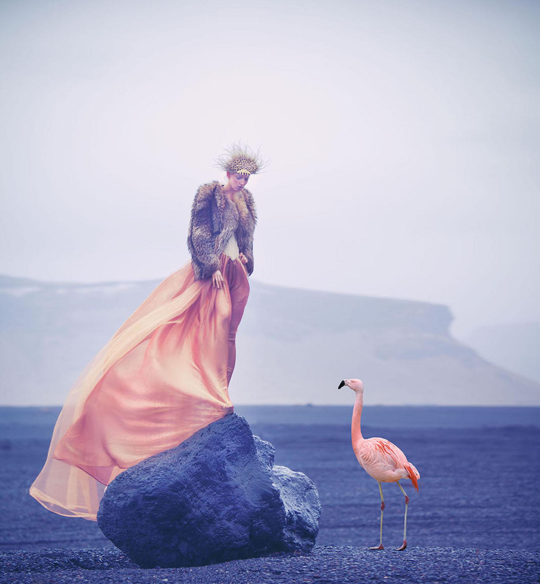 Silent Shore ist ein Werk der zeitgenössischen Fotografin Miss Aniela.

Dieses Foto wird nur als ungerahmter Abzug verkauft. Sie ist in 5 Größen erhältlich:
*41 cm × 38 cm (16,1" × 15"), Auflage: 25 Exemplare
*74 cm × 69 cm (29,1" × 27,2"), Auflage: