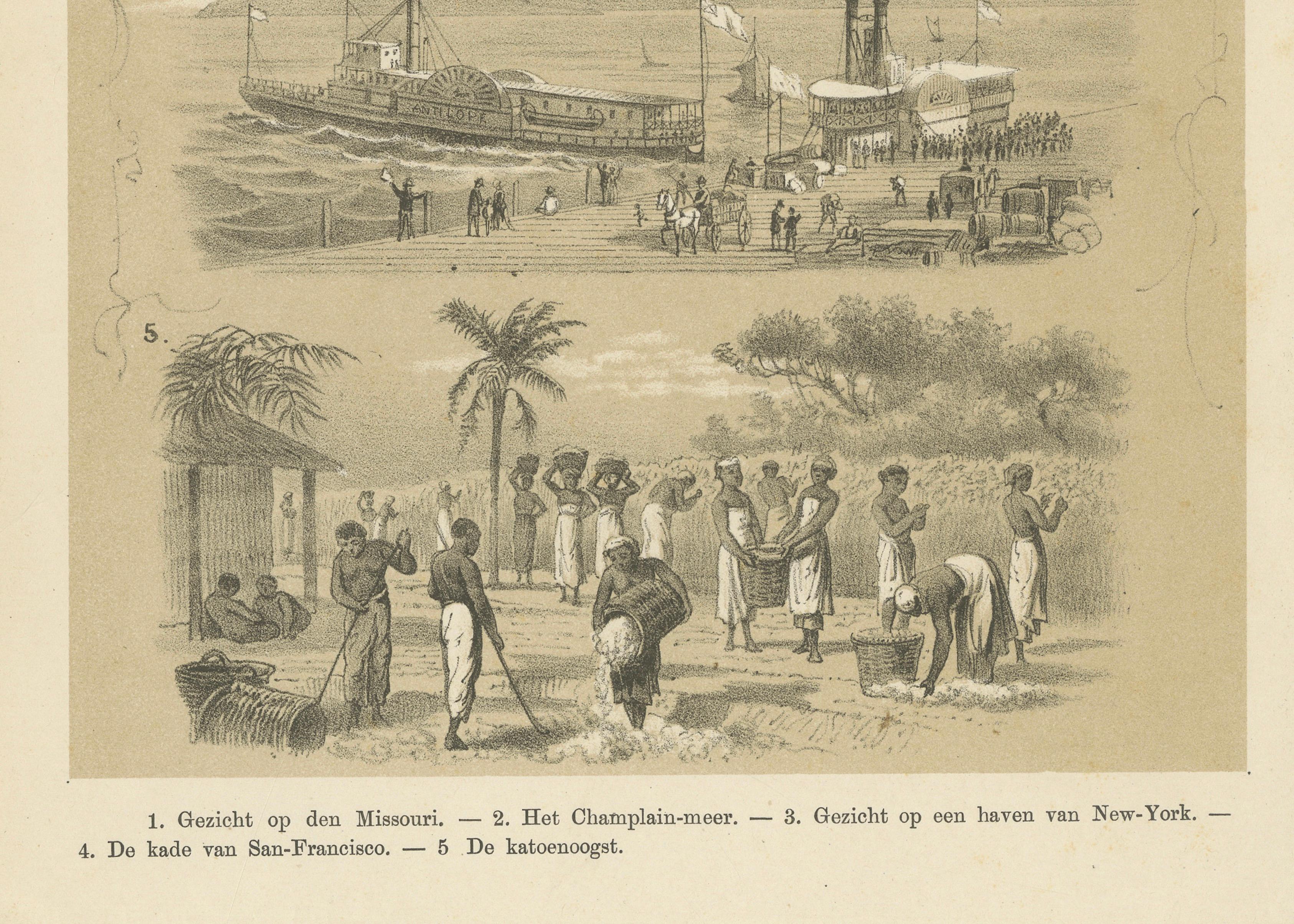 Missouri, Lake Champlain, New York, San Francisco & Cotton Harvest, 1879