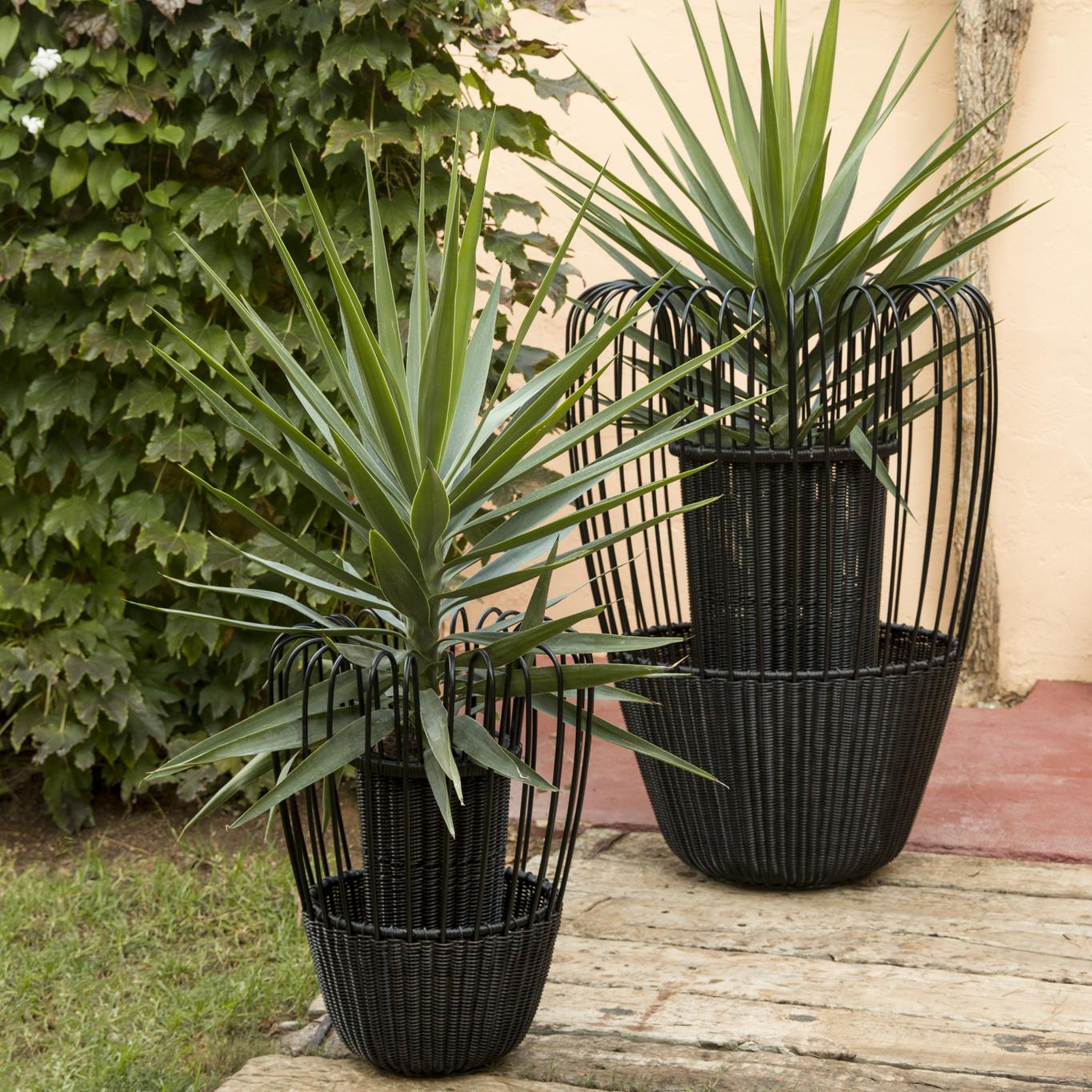 Mid-Century Modern MIST 110 Jardinière Noir moyen par POINT en vente