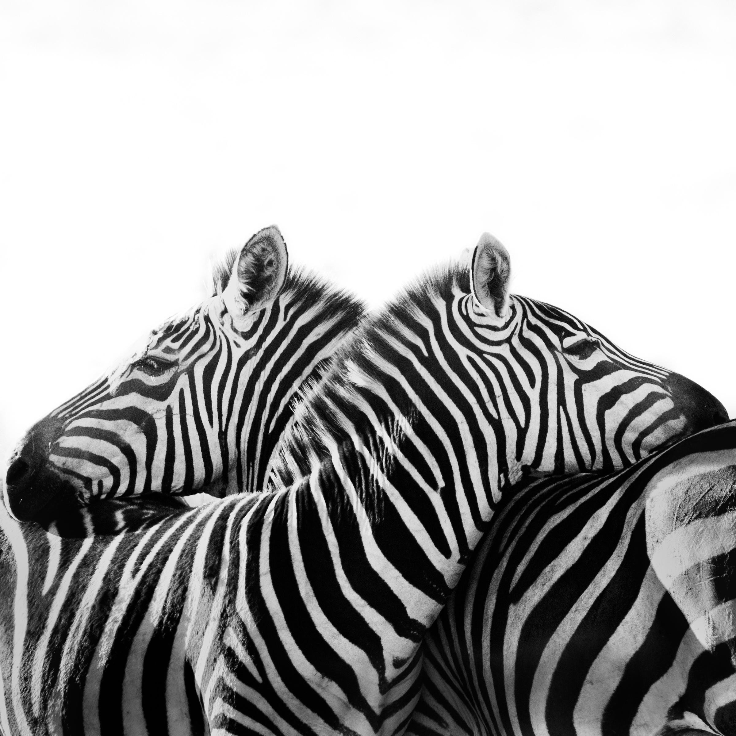Mital Patel Figurative Photograph - Convergence - Other sizes available