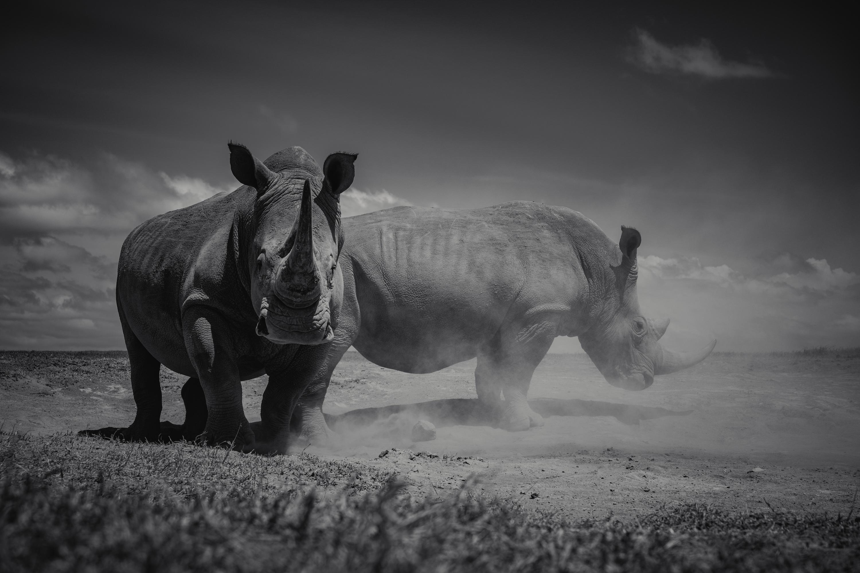 Figurative Photograph de Mital Patel - Solio Titans - Otros tamaños disponibles