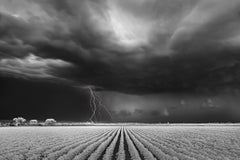 Lightning/Cotton Field, photographie en édition limitée, archivée, signée 