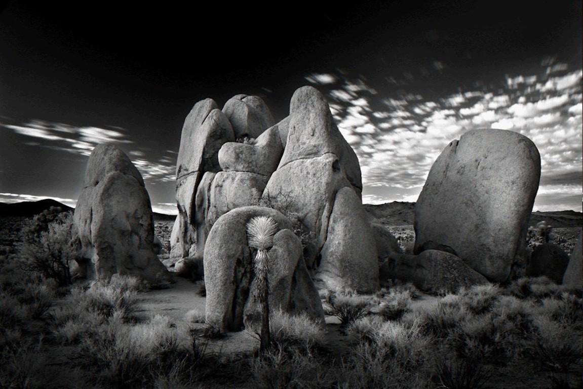 Mitch Dobrowner Landscape Photograph - Rock Family