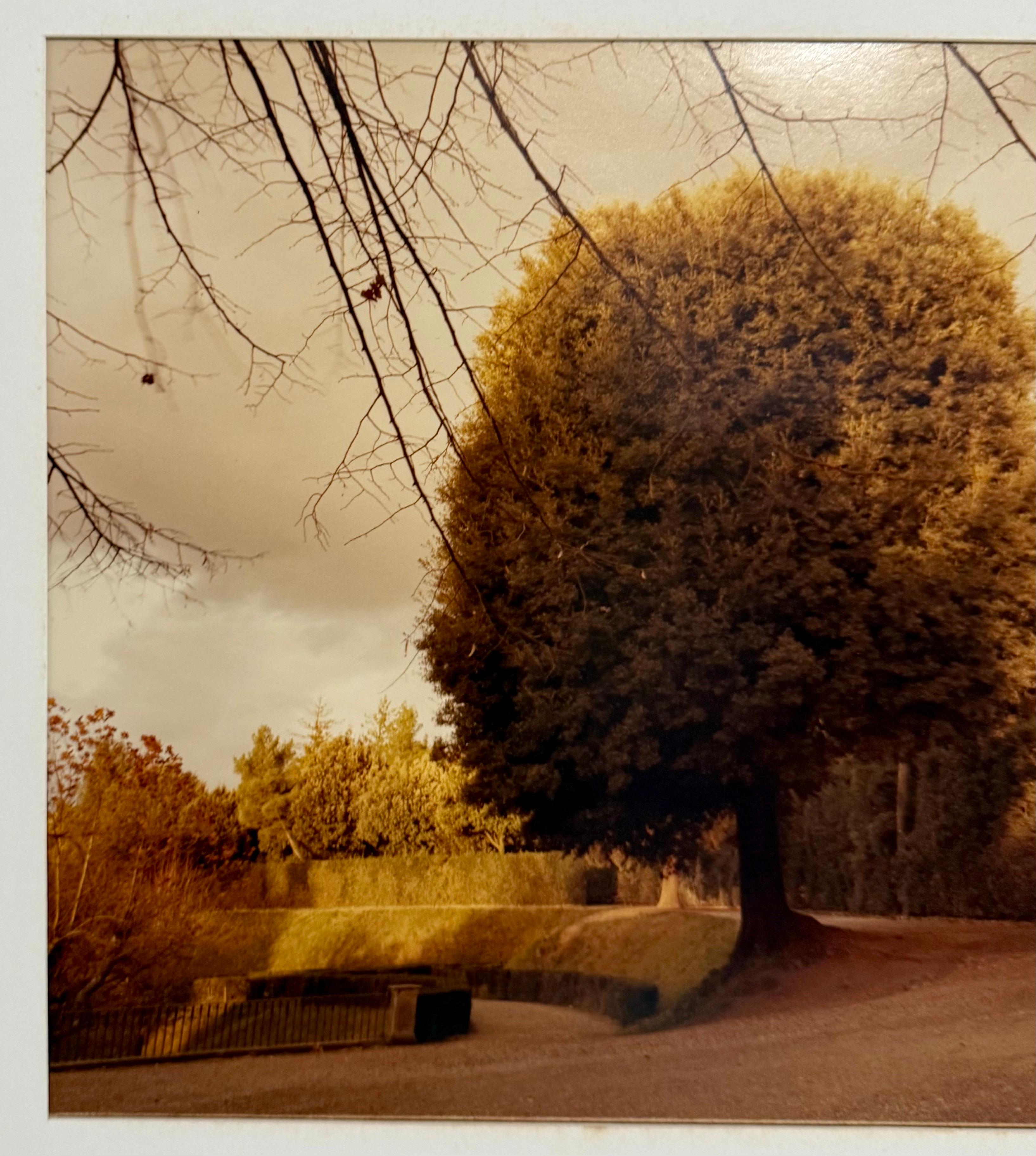 Mitchell Epstein Firmato Fotografia a colori d'epoca A.I.C. Foto Firenze Italia - Photograph American Modern di Mitch Epstein