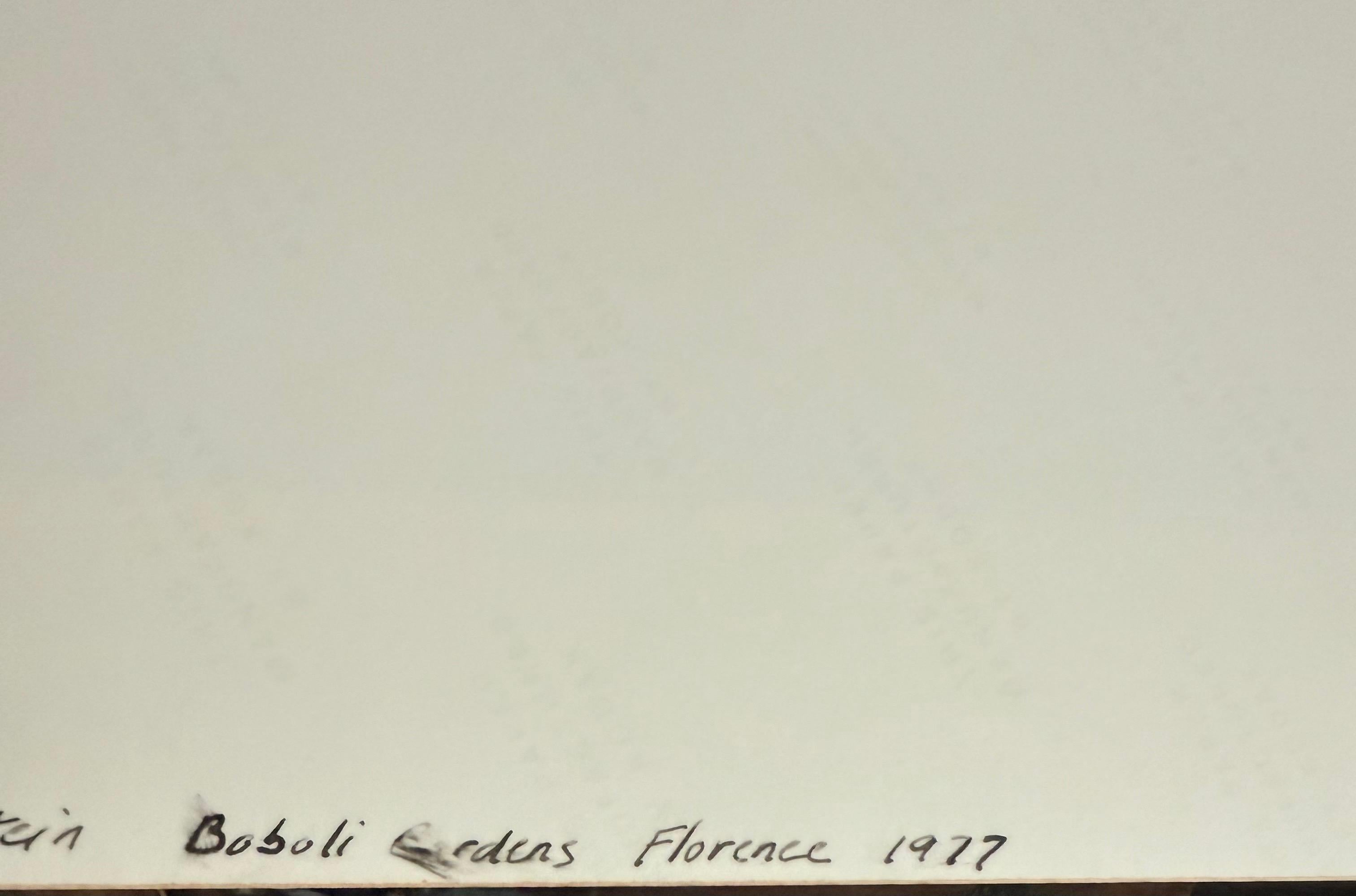 Mitch Epstein
Giardino di Boboli, Firenze, Italia
1977
Firmato a mano e intitolato al verso
Immagine 11 X 16,25. Foglio: 13 x 19 3/16 pollici. la cornice è 19,5 X 24,75
Paesaggio italiano con statua

Mitchell Epstein (nato nel 1952) è un fotografo